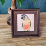 A square framed artwork featuring a colorful parrot on a light pink background, displayed on a wooden surface next to a glass jar with a plant stem and leaves.